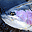 Trophy Rainbow Trout Fishing Package